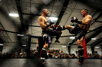 Helena's MMA fights 2012