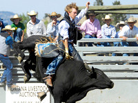 Bould Rodeo